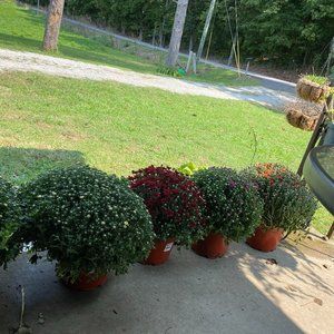 Meet your Posher, Kristy